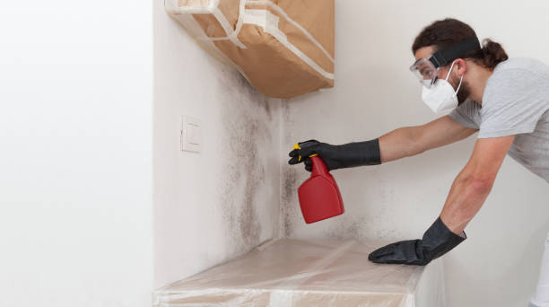 Professional Mold Testing technician working in Waban, MA